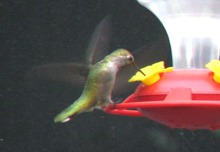 121306-Hummer2-450