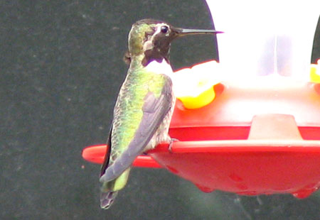 121306-Hummer6-450