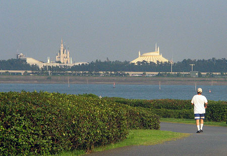 705-Disneybyrinkai-450