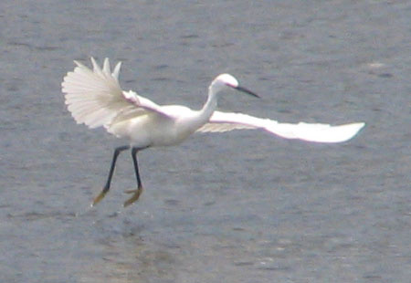 705-Lesseregret1-450