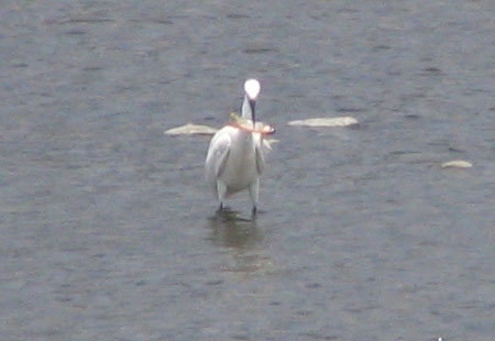 705-Lesseregret2-450