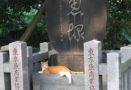 805-Uenocatthrone-450